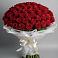 Букет 101 Красная роза Блэк Мэджик в Баклановской Ростовской области