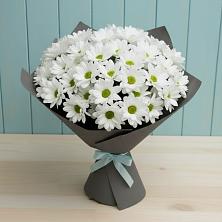 Букет цветов из:  Хризантемы в Баклановской Ростовской области
