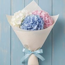 Букет цветов из:  Гортензия в Баклановской Ростовской области