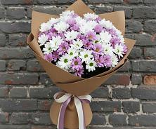 Букет цветов из:  Хризантемы в Баклановской Ростовской области