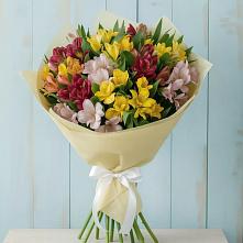 Букет цветов из:  Альстромерии в Баклановской Ростовской области