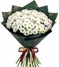 Букет цветов из:  Хризантемы в Баклановской Ростовской области