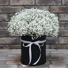 Цветочная композиция из Гипсофила в шляпной коробке в Баклановской Ростовской области