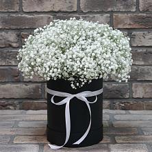 Цветочная композиция из Гипсофила в шляпной коробке в Баклановской Ростовской области