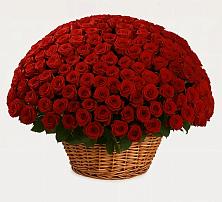 Премиум букет из: Розы в Баклановской Ростовской области