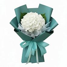 Букет цветов из:  Гортензия #REPLACE_PRED# Баклановской Ростовской области
